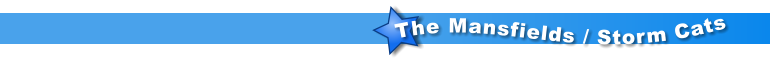 The Mansfields / Storm Cats