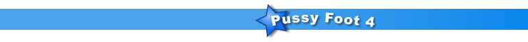 Pussy Foot 4