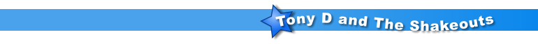 Tony D and The Shakeouts